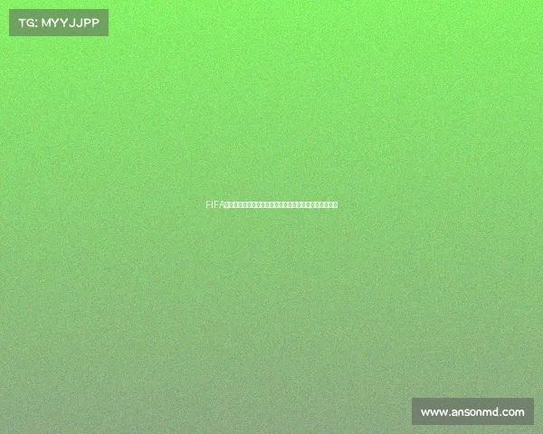 FIFA世界杯燃脂训练教你高效瘦肚子运动方法解析与实践指南